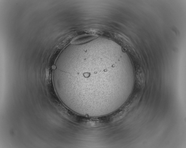 X0000112980420200909101718