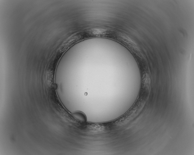 X0000112980421200909101718