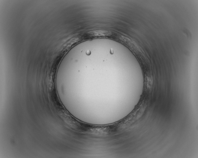 X0000112980422200909101718