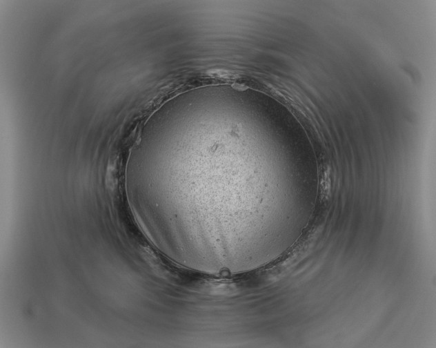 X0000112980424200909101718