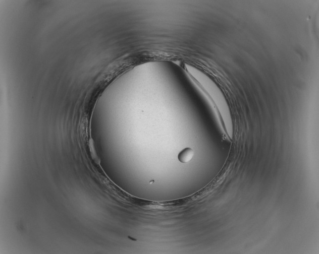 X0000112980425200909101718