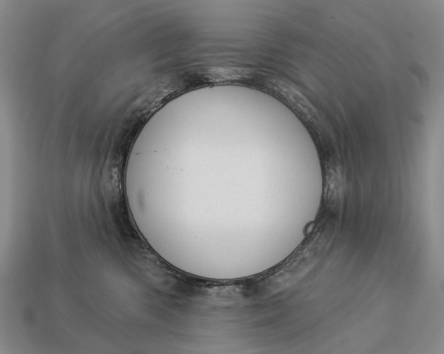 X0000112980426200909101718