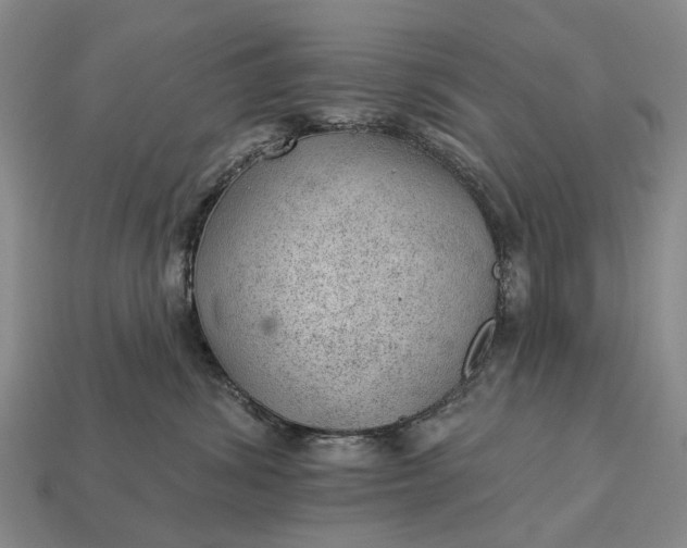 X0000112980428200909101718