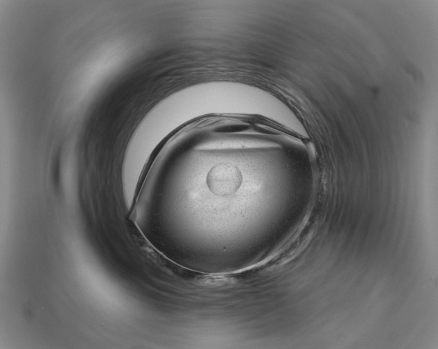 X0000112980429200909101718