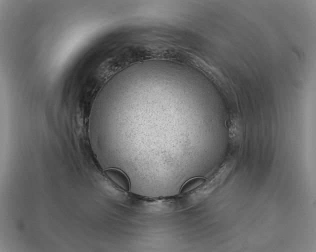 X0000112980430200909101718