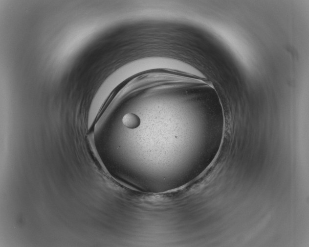 X0000112980431200909101718