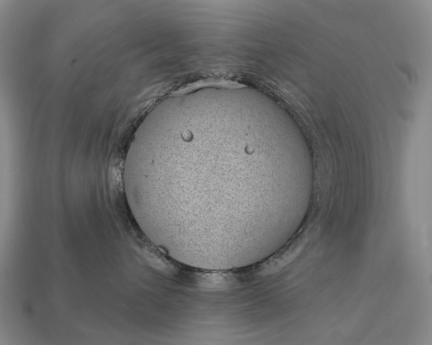 X0000112980432200909101718