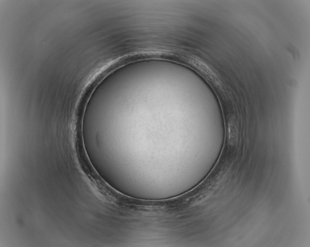 X0000112980436200909101717