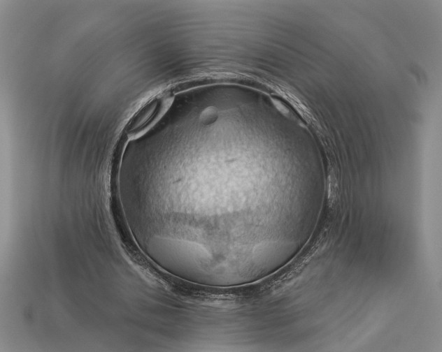 X0000112980438200909101717