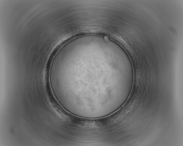 X0000112980439200909101717