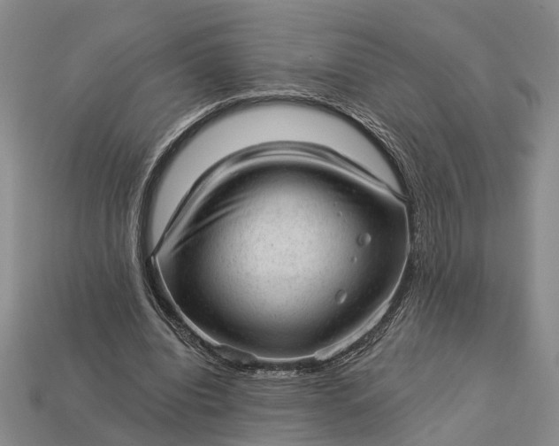 X0000112980440200909101717