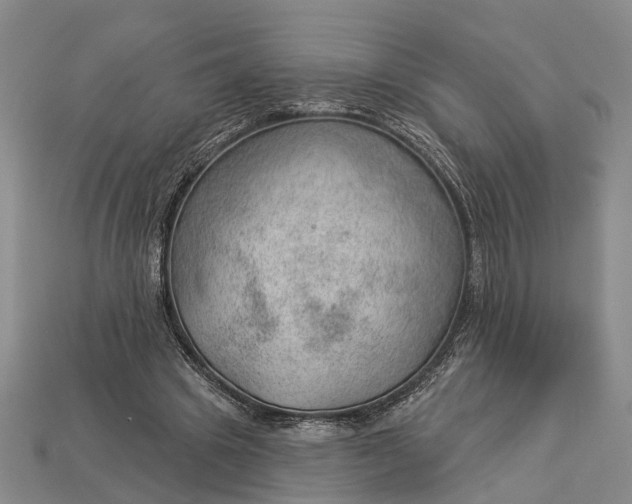 X0000112980441200909101717