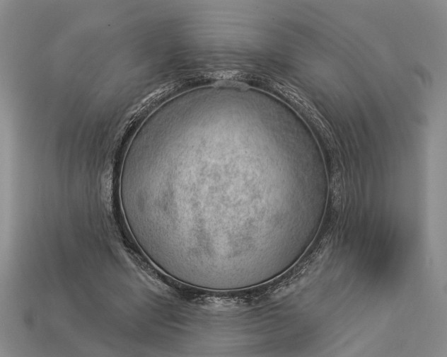 X0000112980442200909101717