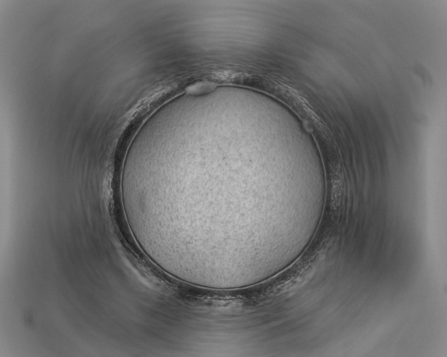 X0000112980443200909101717