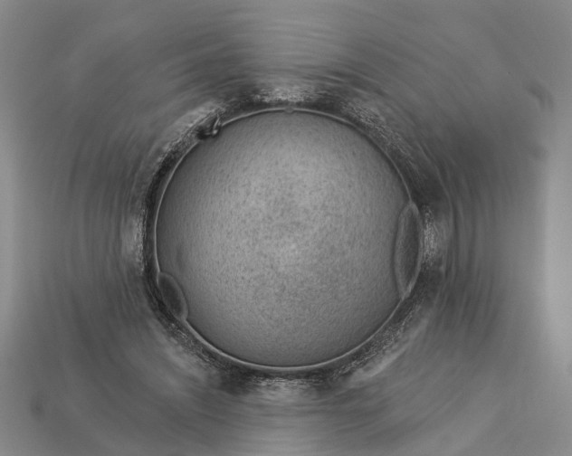 X0000112980444200909101717