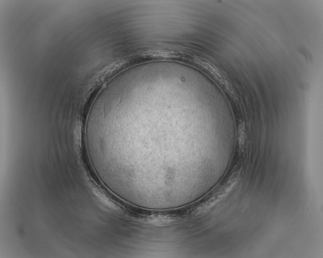 X0000112980445200909101717