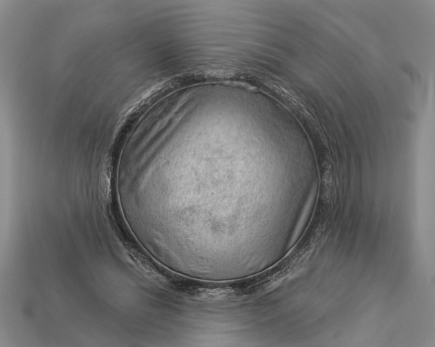 X0000112980446200909101717