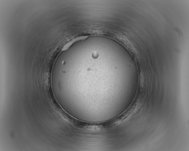 X0000112980449200909101717