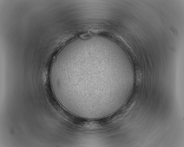 X0000112980451200909101717