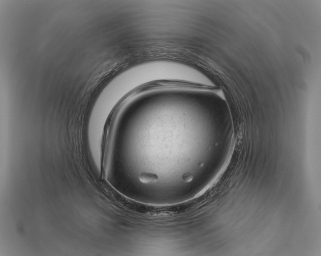 X0000112980452200909101717