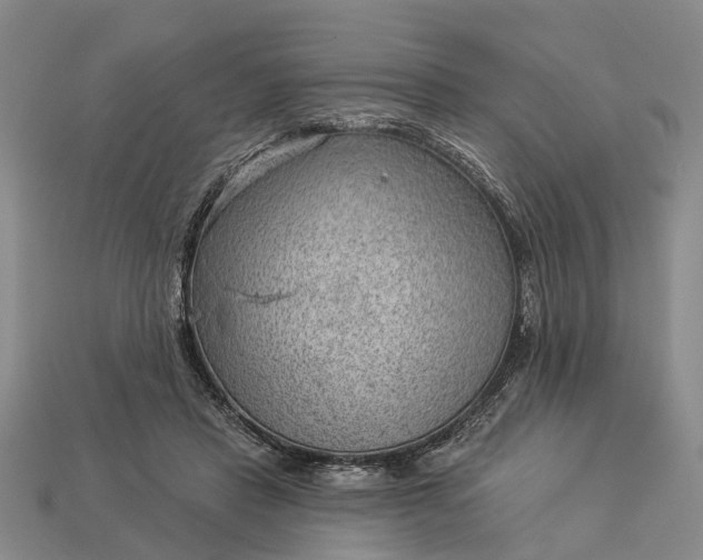 X0000112980453200909101717