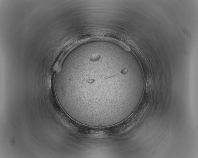 X0000112980454200909101718