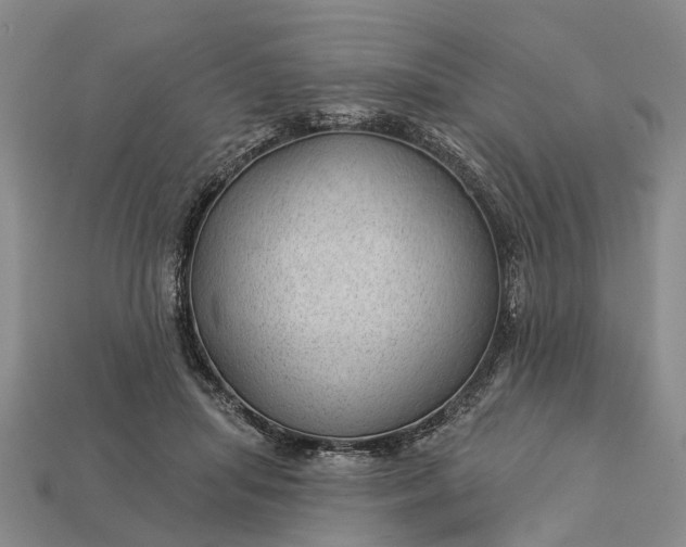 X0000112980455200909101718