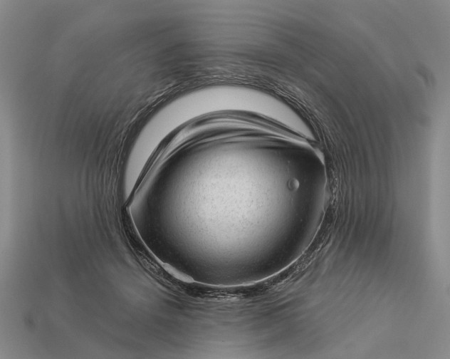 X0000112980456200909101718