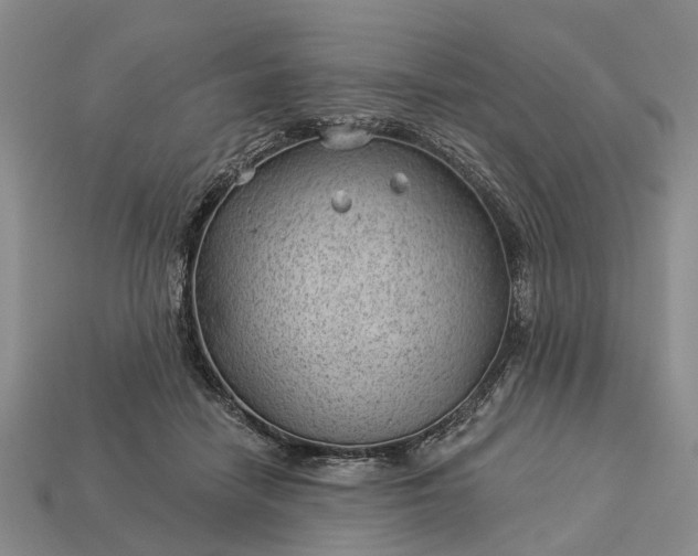 X0000112980458200909101718