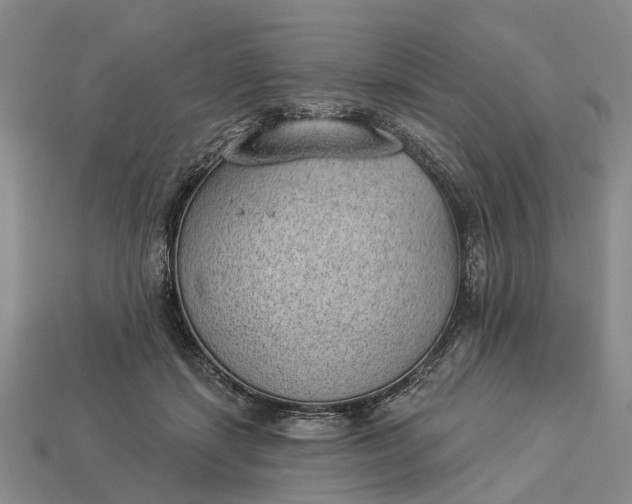 X0000112980459200909101718