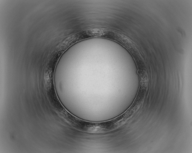 X0000112980460200909101718