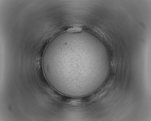 X0000112980462200909101718