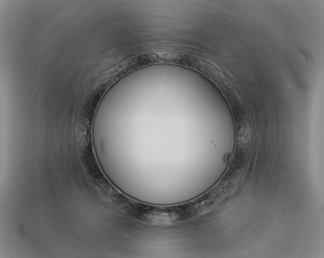 X0000112980464200909101718