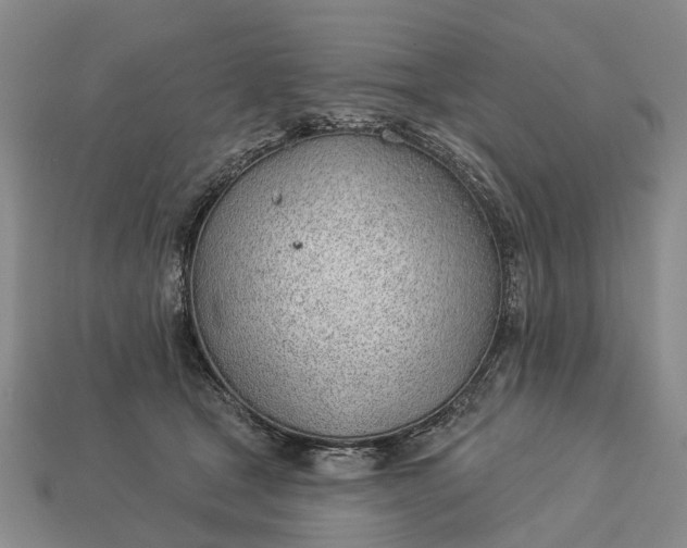 X0000112980465200909101718