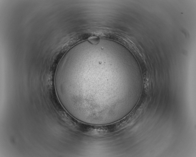 X0000112980466200909101718