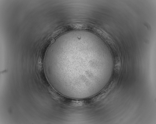 X0000112980469200909101718