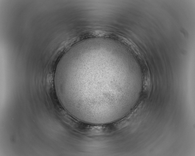 X0000112980473200909101718