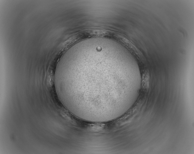 X0000112980474200909101718