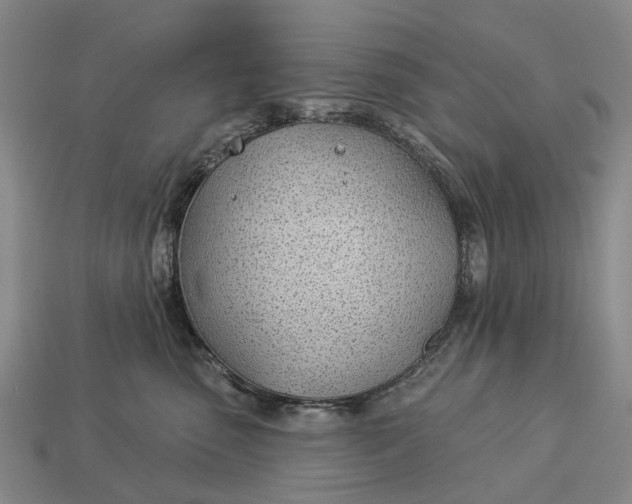 X0000112980475200909101718