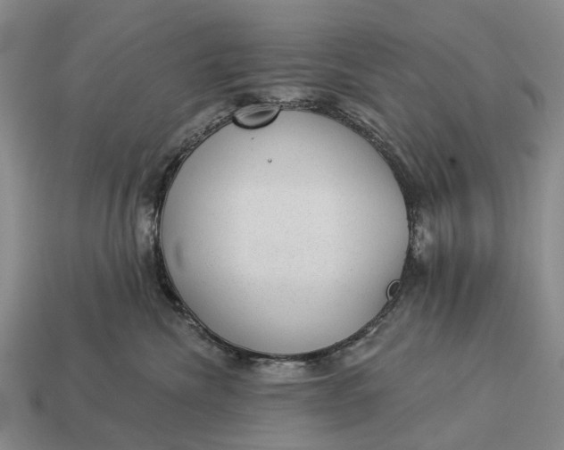 X0000112980476200909101718