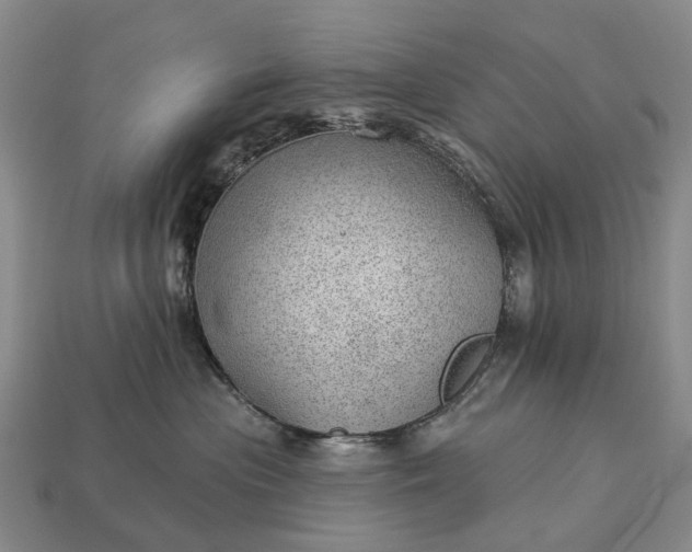 X0000112980477200909101718