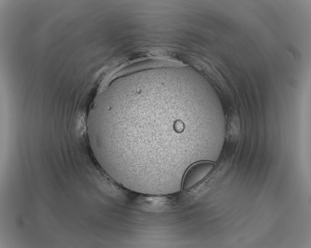 X0000112980478200909101718