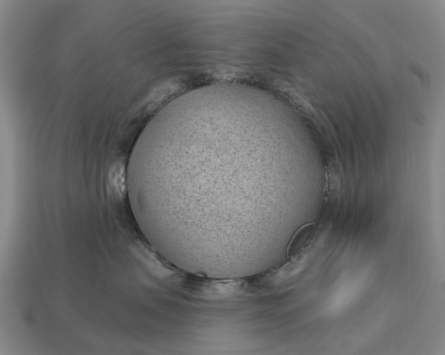 X0000112980479200909101718