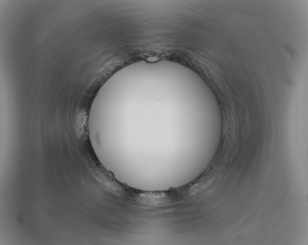 X0000112980480200909101718