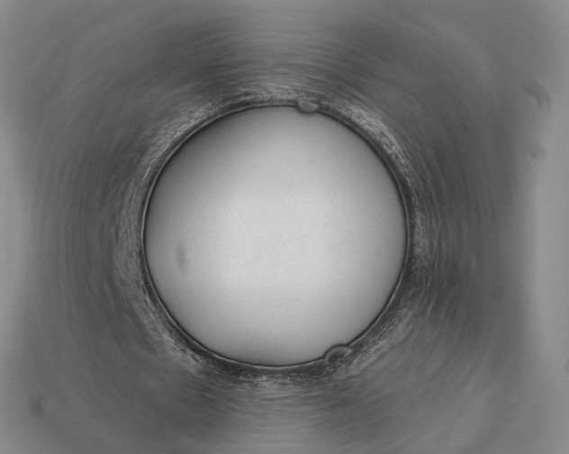 X0000112980481200909101717