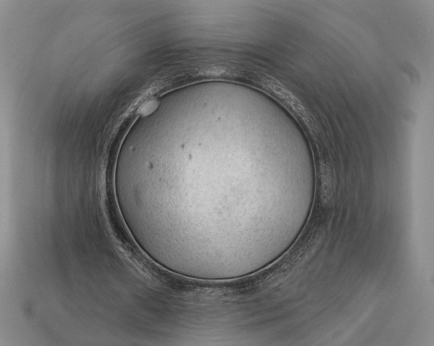 X0000112980482200909101717