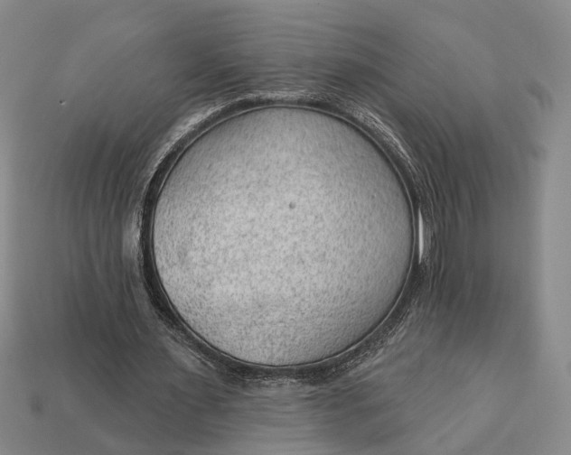 X0000112980483200909101717