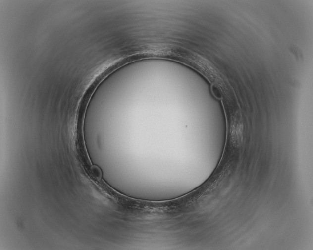 X0000112980484200909101717