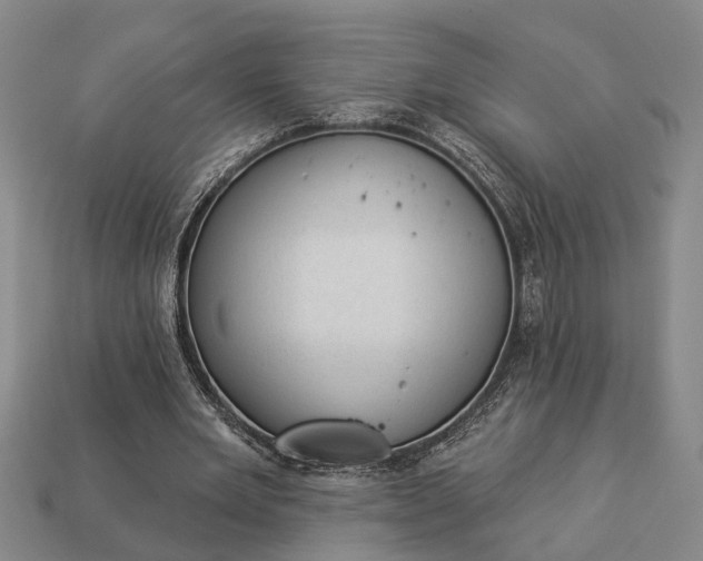 X0000112980485200909101717