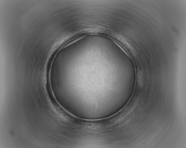 X0000112980486200909101717